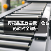 梅花品鉴五要素:色香形韵时全解析(图1) 梅花品鉴五要素:色香形韵时全解析(图1)