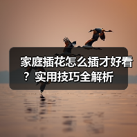家庭插花怎么插更美观？技巧全分享-云溯花