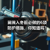 苗圃入冬前必须做哪些防护？防冻害关键措施