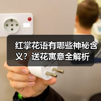 红掌花语有哪些神秘含义?送花寓意全解析(图2) 红掌花语有哪些神秘含义?送花寓意全解析(图2)