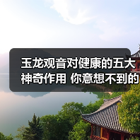 玉龙观音对健康的五大神奇作用 你意想不到的养生秘密(图3) 玉龙观音对健康的五大神奇作用 你意想不到的养生秘密(图3)