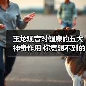 玉龙观音对健康的五大神奇作用 你意想不到的养生秘密(图4) 玉龙观音对健康的五大神奇作用 你意想不到的养生秘密(图4)