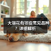 大丽花有哪些常见品种?详细解析(图1) 大丽花有哪些常见品种?详细解析(图1)