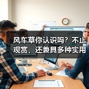风车草你认识吗?不止观赏,还兼具多种实用功能!(图4) 风车草你认识吗?不止观赏,还兼具多种实用功能!(图4)