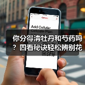 你分得清牡丹和芍药吗?四看秘诀轻松辨别花中二绝(图1) 你分得清牡丹和芍药吗?四看秘诀轻松辨别花中二绝(图1)