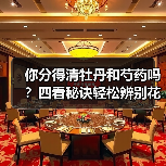 你分得清牡丹和芍药吗?四看秘诀轻松辨别花中二绝(图3) 你分得清牡丹和芍药吗?四看秘诀轻松辨别花中二绝(图3)