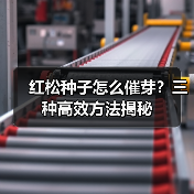 红松种子怎么催芽?三种高效方法揭秘(图1) 红松种子怎么催芽?三种高效方法揭秘(图1)