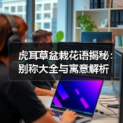 虎耳草盆栽花语揭秘:别称大全与寓意解析(图2) 虎耳草盆栽花语揭秘:别称大全与寓意解析(图2)