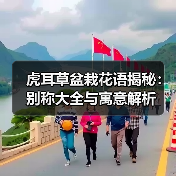 虎耳草盆栽花语揭秘:别称大全与寓意解析(图3) 虎耳草盆栽花语揭秘:别称大全与寓意解析(图3)