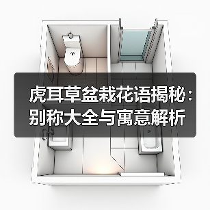 虎耳草盆栽花语揭秘:别称大全与寓意解析(图1) 虎耳草盆栽花语揭秘:别称大全与寓意解析(图1)