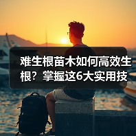 难生根苗木如何高效生根?掌握这6大实用技巧(图2) 难生根苗木如何高效生根?掌握这6大实用技巧(图2)