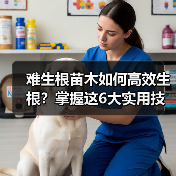 难生根苗木如何高效生根?掌握这6大实用技巧(图3) 难生根苗木如何高效生根?掌握这6大实用技巧(图3)