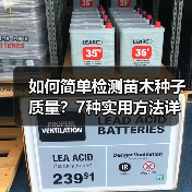 如何简单检测苗木种子质量?7种实用方法详解(图2) 如何简单检测苗木种子质量?7种实用方法详解(图2)