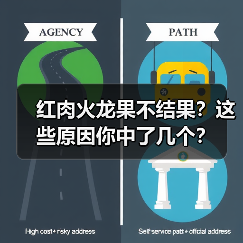 红肉火龙果不结果?这些原因你中了几个?(图3) 红肉火龙果不结果?这些原因你中了几个?(图3)