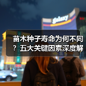 如何延长苗木种子寿命？关键因素解析-云溯