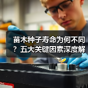 苗木种子寿命为何不同?五大关键因素深度解析(图2) 苗木种子寿命为何不同?五大关键因素深度解析(图2)