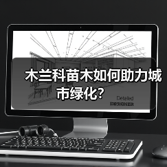 木兰科苗木如何助力城市绿化？