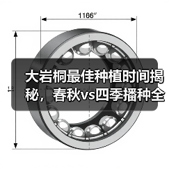 大岩桐最佳种植时间揭秘,春秋vs四季播种全解析(图4) 大岩桐最佳种植时间揭秘,春秋vs四季播种全解析(图4)