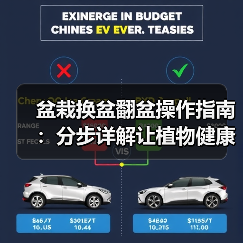 盆栽换盆翻盆操作指南:分步详解让植物健康生长(图2) 盆栽换盆翻盆操作指南:分步详解让植物健康生长(图2)