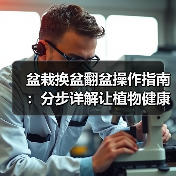盆栽换盆翻盆操作指南:分步详解让植物健康生长(图1) 盆栽换盆翻盆操作指南:分步详解让植物健康生长(图1)