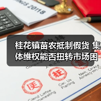 桂花镇苗农抵制假货 集体维权能否扭转市场困局?(图1) 桂花镇苗农抵制假货 集体维权能否扭转市场困局?(图1)