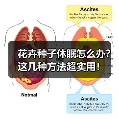 花卉种子休眠怎么办?这几种方法超实用!(图3) 花卉种子休眠怎么办?这几种方法超实用!(图3)