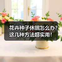 花卉种子休眠怎么办?这几种方法超实用!(图1) 花卉种子休眠怎么办?这几种方法超实用!(图1)