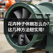 花卉种子休眠怎么办?这几种方法超实用!(图4) 花卉种子休眠怎么办?这几种方法超实用!(图4)