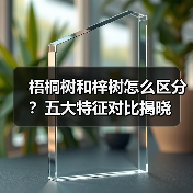 梧桐树和梓树怎么区分?五大特征对比揭晓(图1) 梧桐树和梓树怎么区分?五大特征对比揭晓(图1)