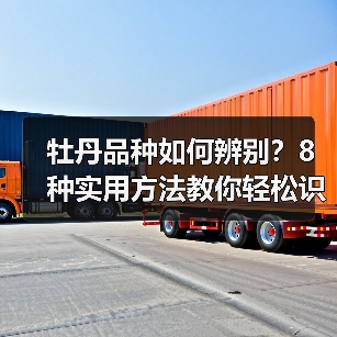 牡丹品种如何辨别?8种实用方法教你轻松识别(图1) 牡丹品种如何辨别?8种实用方法教你轻松识别(图1)