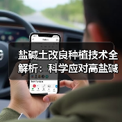 盐碱土改良种植技术全解析:科学应对高盐碱地种植难题(图4) 盐碱土改良种植技术全解析:科学应对高盐碱地种植难题(图4)