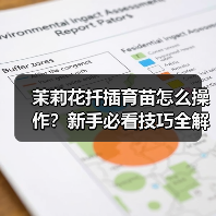 茉莉花扦插育苗怎么操作?新手必看技巧全解析(图3) 茉莉花扦插育苗怎么操作?新手必看技巧全解析(图3)