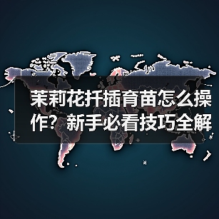 茉莉花扦插育苗怎么操作?新手必看技巧全解析(图4) 茉莉花扦插育苗怎么操作?新手必看技巧全解析(图4)