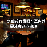 水仙花有毒吗?室内养需注意这些事项(图3) 水仙花有毒吗?室内养需注意这些事项(图3)