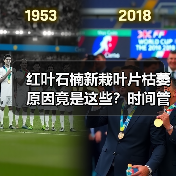 红叶石楠新栽叶片枯萎原因竟是这些?时间管理关键(图4) 红叶石楠新栽叶片枯萎原因竟是这些?时间管理关键(图4)