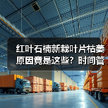 红叶石楠新栽叶片枯萎原因竟是这些?时间管理关键(图1) 红叶石楠新栽叶片枯萎原因竟是这些?时间管理关键(图1)