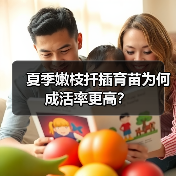 夏季嫩枝扦插育苗为何成活率更高?(图1) 夏季嫩枝扦插育苗为何成活率更高?(图1)