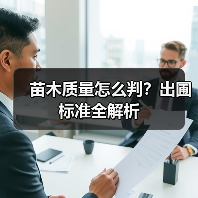 苗木质量怎么判?出圃标准全解析(图2) 苗木质量怎么判?出圃标准全解析(图2)