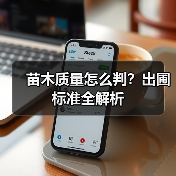 苗木质量怎么判?出圃标准全解析(图1) 苗木质量怎么判?出圃标准全解析(图1)