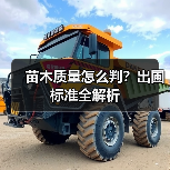 苗木质量怎么判?出圃标准全解析(图4) 苗木质量怎么判?出圃标准全解析(图4)