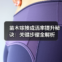 苗木嫁接成活率提升秘诀:关键步骤全解析(图3) 苗木嫁接成活率提升秘诀:关键步骤全解析(图3)