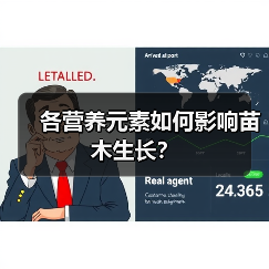 各营养元素如何影响苗木生长？（图1）