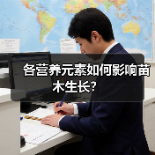 各营养元素如何影响苗木生长？（图3）