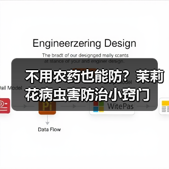 不用农药也能防?茉莉花病虫害防治小窍门(图4) 不用农药也能防?茉莉花病虫害防治小窍门(图4)