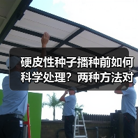 硬皮性种子播种前如何科学处理?两种方法对比解析(图3) 硬皮性种子播种前如何科学处理?两种方法对比解析(图3)
