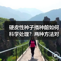 硬皮性种子播种前如何科学处理?两种方法对比解析(图4) 硬皮性种子播种前如何科学处理?两种方法对比解析(图4)