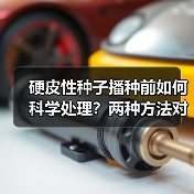 硬皮性种子播种前如何科学处理?两种方法对比解析(图1) 硬皮性种子播种前如何科学处理?两种方法对比解析(图1)