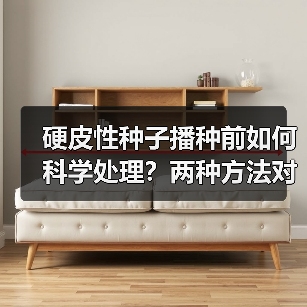 硬皮性种子播种前如何科学处理?两种方法对比解析(图2) 硬皮性种子播种前如何科学处理?两种方法对比解析(图2)