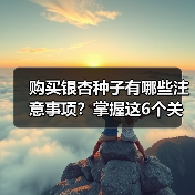 购买银杏种子有哪些注意事项?掌握这6个关键点(图1) 购买银杏种子有哪些注意事项?掌握这6个关键点(图1)