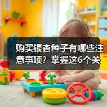 购买银杏种子有哪些注意事项?掌握这6个关键点(图2) 购买银杏种子有哪些注意事项?掌握这6个关键点(图2)